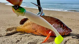 TIPS de PESCA de PLAYA || CONSEJOS de pesca || COMO PESCAR || PARGO.