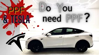 Tesla & PPF: Do You Need PPF For Your Tesla? Our Experiences With PPF &  Our Tesla Model 3 & Model Y