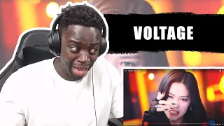 ITZ- Voltage [Music Video] | REACTION