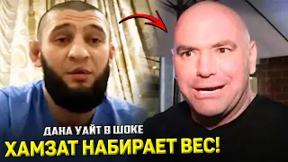 СРОЧНО! Хамзат Чимаев переходит в ПОЛУТЯЖИ / Чимаев ВЫЗВАЛ Яна Блаховича!