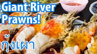 Giant River Prawns (กุ้งเผา) in Ayutthaya (Insane Delicious Alert)!