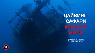 Дайвинг сафари на Север Красного Моря Октябрь 22