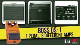 1 Pedal, 3 Amps, BOSS DS-1