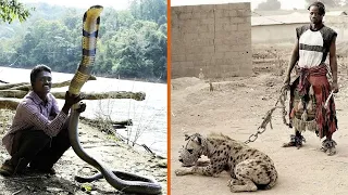 Top 10 Most Dangerous Animals People Own As A Pet