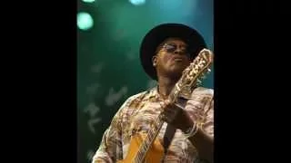 Taj Mahal - She Caught The Katy (Live)