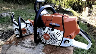 Stihl MS 881 & Stihl MS 150C (Biggest Stihl "versus" smallest Stihl) !!!