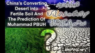 china is converting desert lands into forests and Muhammad P.B.U.H predicted