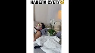 кот и хозяин вместе барин