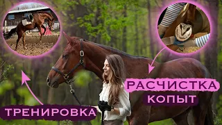 ДЕНЬ 1: ТРЕНИРОВКА | РАСЧИСТКА КОПЫТ | 🌸ВЫХОДНЫЕ С МОЕЙ ЛОШАДЬЮ🌸