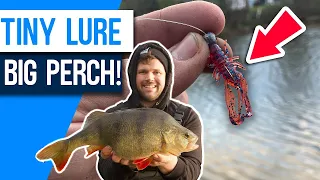 Catching BIG River PERCH on Tiny Creature Baits!