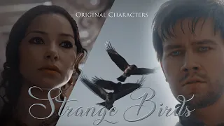 ❝Strange Birds❞ - Original Characters