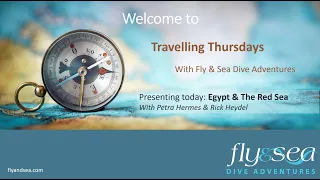 Egypt & Red Sea Diving   Travelling Thursdays Webinar Series