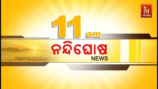 🔴 Live | Nandighosha News@11am | Nandighosha TV | Odisha