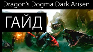 Вам лень разбираться в Dragon's Dogma: Dark Arisen