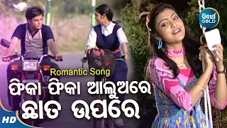 Fika Fika Aalua Re - Romantic Album Song | Pupa | Bulu,Maina | ଫିକା ଫିକା ଆଲୁଅରେ  | Sidharth Music