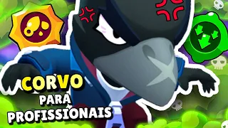 CORVO PARA PROFISSIONAIS!