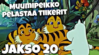 Muumilaakson tarinoita jakso 20 - Muumipeikko pelastaa tiikerit