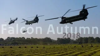 Falcon Autumn 2018 ◾️ Dutch Military Helicopters Taking Off Airbase Deelen