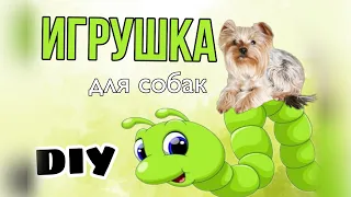 🌿 DIY 🌿 | игрушка для собак своими руками и лапками 💚