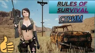 RULES OF SURVIVAL петушиный стрим