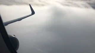 American Airlines A321 | Snowy Flight to Chicago