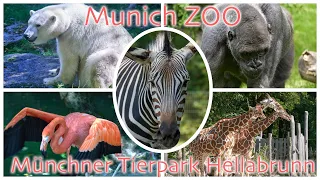 Munich ZOO, Hellabrunn