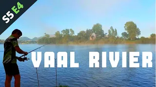 Vaal rivier karp hengel naby Potchefstroom | Vaal River S5E4