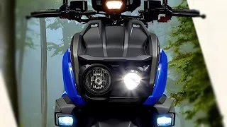 2023 Yamaha Adventure Style BW's 125 Scooter With Advance Features and Amazing Looks – Walkaround