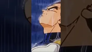 Vegeta in rain ~ stan