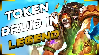 Token Druid / Gibberling Druid In Legend - Forged in the Barrens - Hearthstone