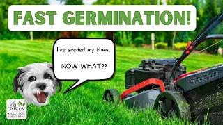 Overseed Lawn In Spring | Fast Germination (What To Do AFTER You Overseed!)