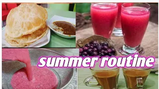 summer routine vlog || Day to night busy routine|| Falsy Ka sharbat @leofreedomvlogs