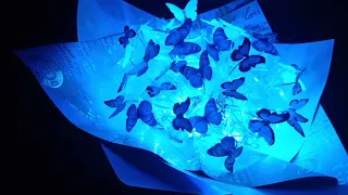 Bouquet of butterflies 🦋//DIY