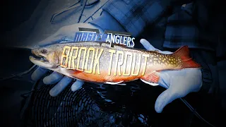 Catching Fall Brook Trout: Vermont Master Anglers