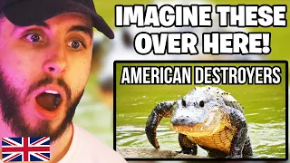 Brit Reacts to American Animals That Would Destroy European Ecosystems