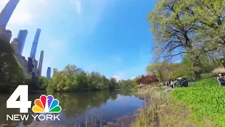 Police investigate two violent robberies in NYC's Central Park | NBC New York