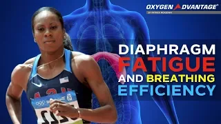 Diaphragm Fatigue And Breathing Efficiency