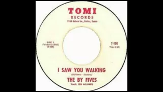 The By Fives - I Saw You Walking.(1966)*****📌