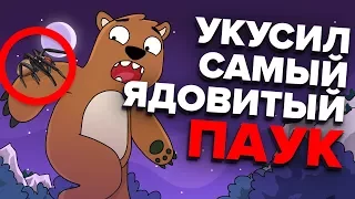 Что будет, если вас укусил самый ядовитый паук