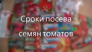 Когда сеять томаты на рассаду. Мой опыт посева семян и выращивания рассады томатов.