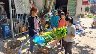 How To Harvest green vegetable, bamboo shoots, wild tree cores Goes to the market Village sell