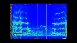 St.louis Co. Minnesota (AMAZING SASQUATCH VOCALIZATIONS)