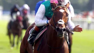 Frankel documentary: The horse of the century