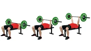 The Bench Press