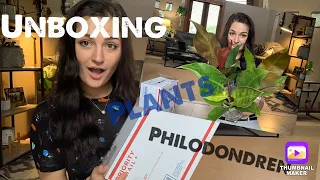 Plaint Mail Unboxing | Philodendron House Plants