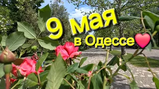 ОДЕССА❤️РЕАЛЬНАЯ ОБСТАНОВКА❗️9 МАЯ❗️УЛИЦА ПУШКИНСКАЯ❗️ГОСТИНИЦА КРАСНАЯ❗️