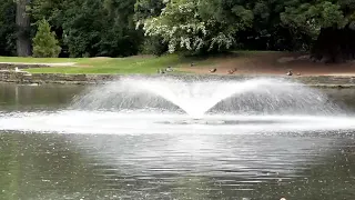 ФУТАЖ. Фонтан в парке. FOOTAGE. Fountain in the park.