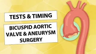 Bicuspid Aortic Valve & Aortic Aneurysm Surgery: Tests & Timing