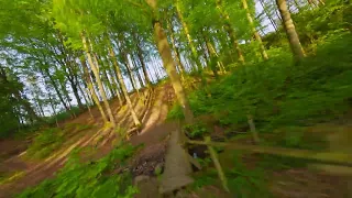 Trees | FPV Freestyle