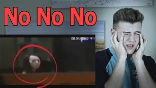 The Scariest Videos On The Internet Reaction